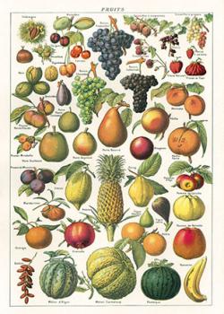 Cavallini vintage Poster Obst, Früchte