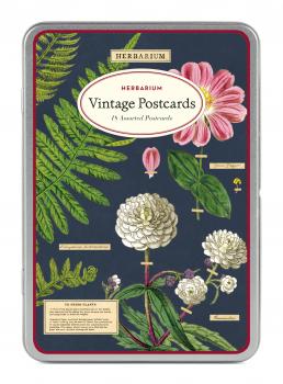 Herbarium Vintage Postkartenset von Cavallini