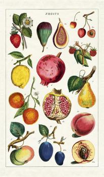 Vintage Geschirrtuch Früchte, Obst von Cavallini