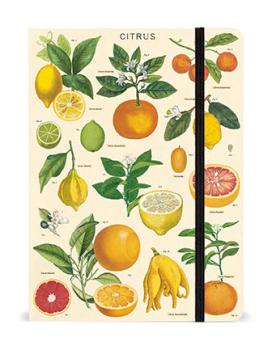Notizbuch, Notebook "Citrus", von Cavallini