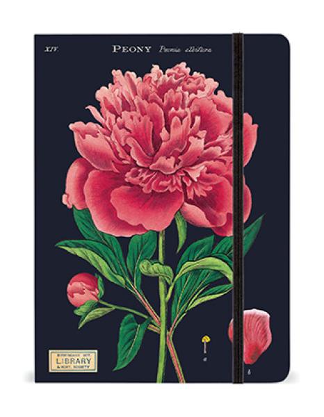 Notizbuch, Notebook "Botanik", von Cavallini