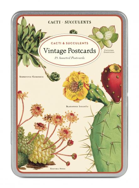 Kaktus & Sukkulente Vintage Postkartenset von Cavallini