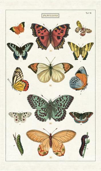 Vintage Geschirrtuch Schmetterlinge von Cavallini